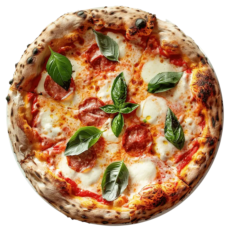 NEAPOLITAN PIZZA